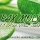 PAX MOLY Premium Jeju 100 Aloe Vera Soothing Gel Review
